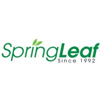Springleaf