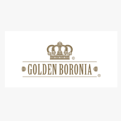 Golden Boronia